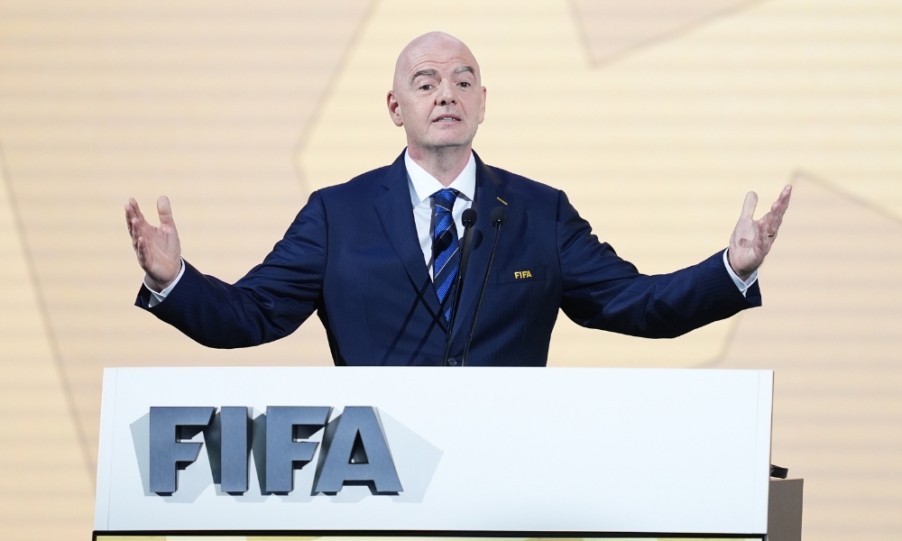 政府扮演了